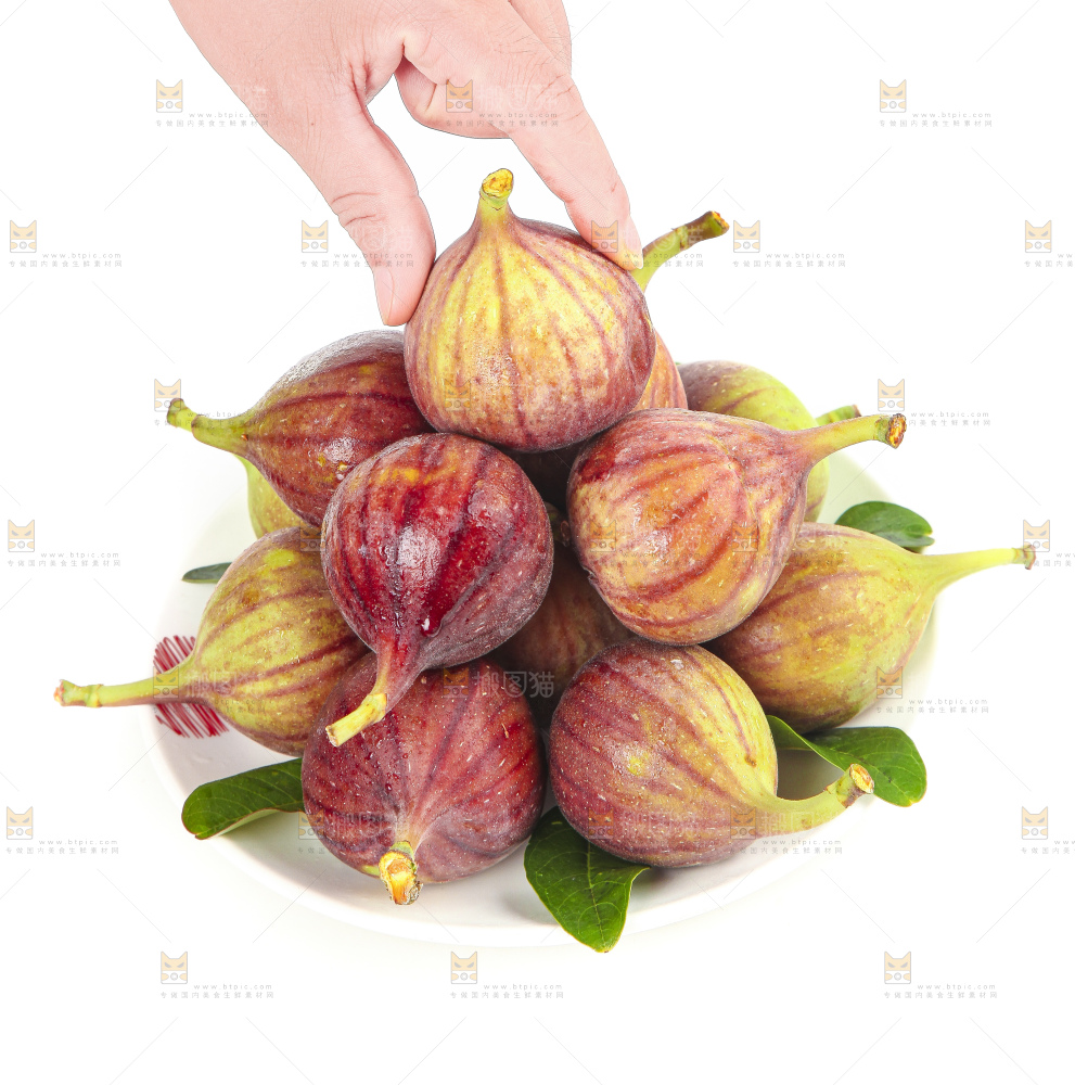 手拿紫皮无花果