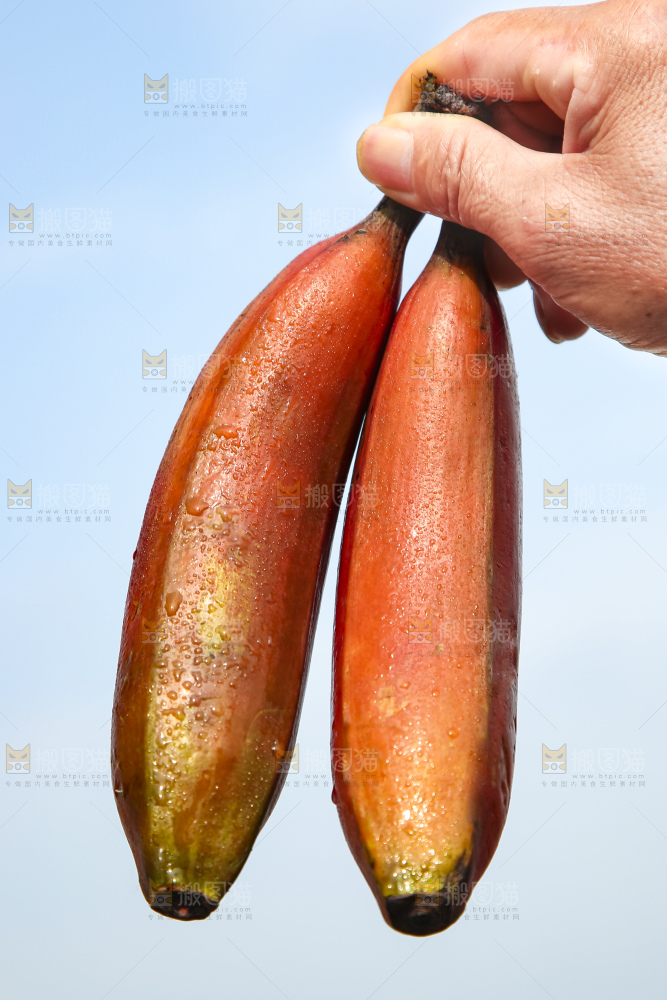 手拿红皮美人香蕉