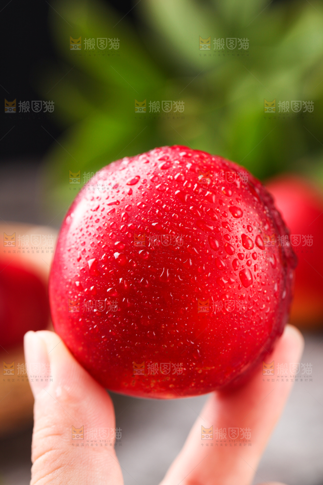 手拿珍珠李