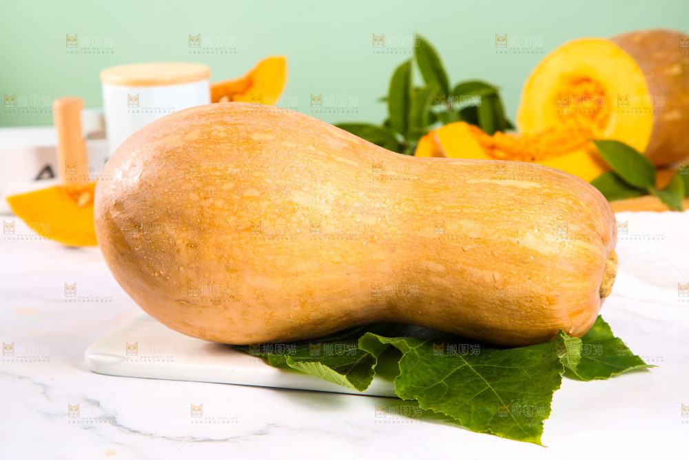 蜜本南瓜