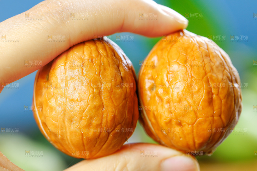 手拿去皮湿核桃
