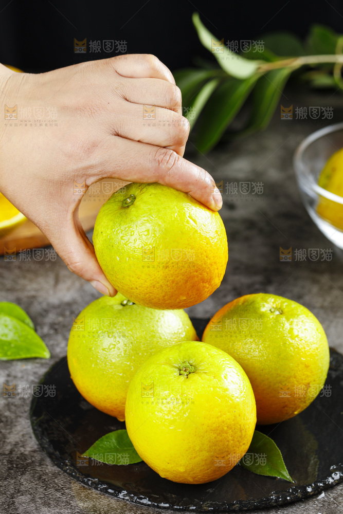 手拿秭归夏橙