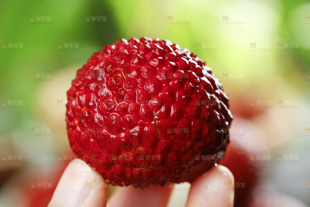 手拿一个荔枝