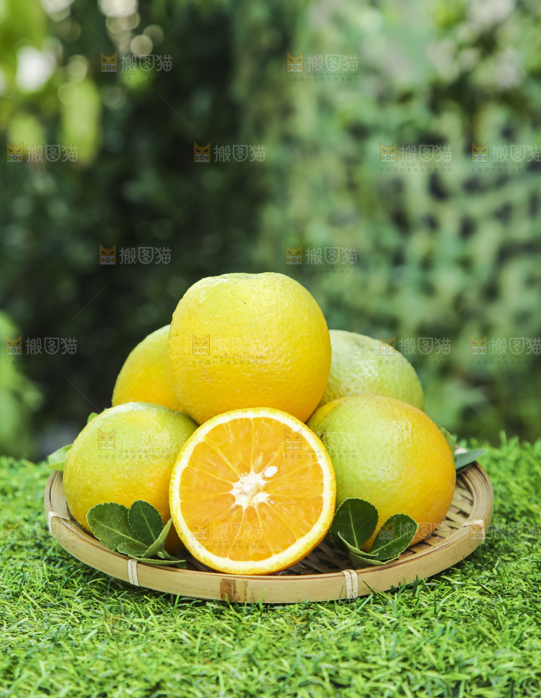 草地上放着一篮夏橙