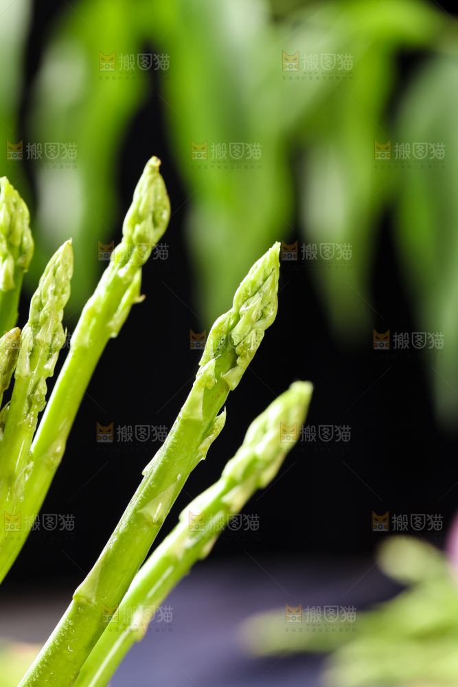 黑石板上的新鲜山东芦笋