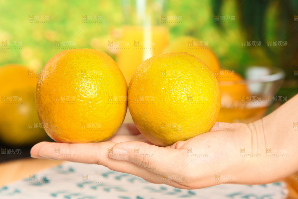 手拿着的秭归夏橙