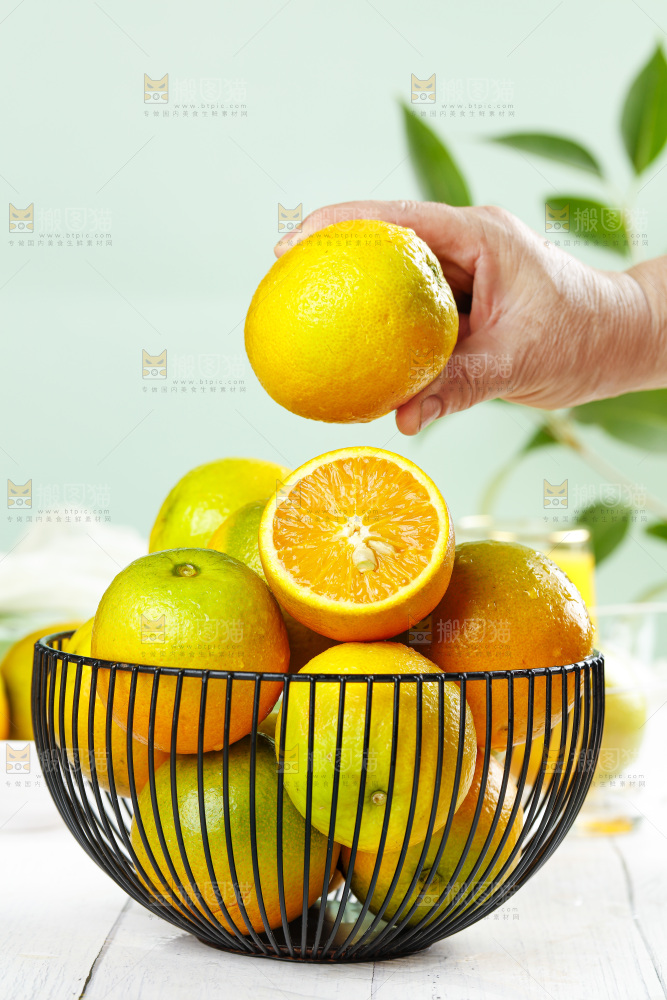 手拿秭归夏橙