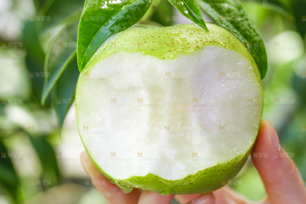 手拿咬开的苹果梨