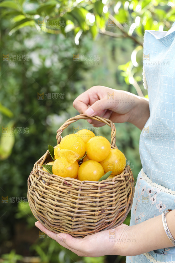 手拿一筐黄金奈李