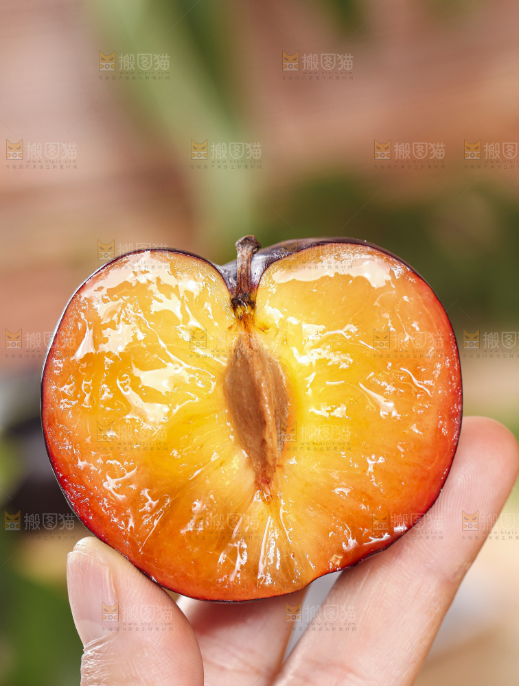 手拿掰开的智利黑布林
