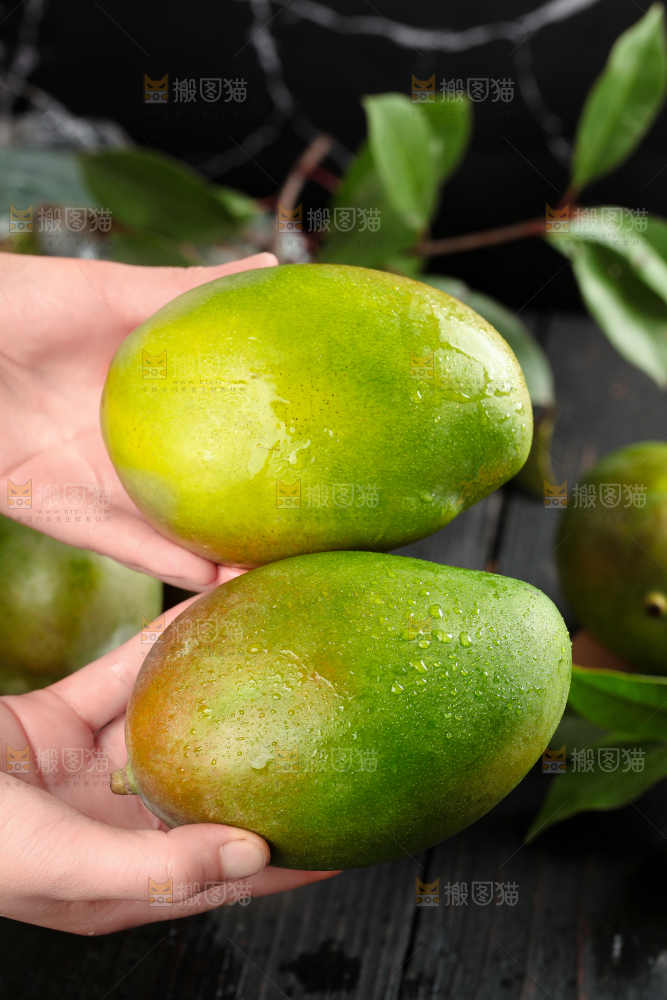 蓝底上放着一盘凯特芒