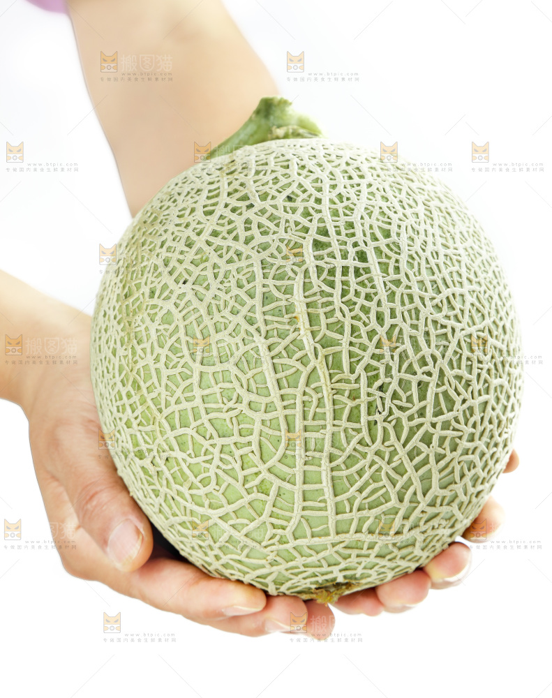 手拿玫珑瓜