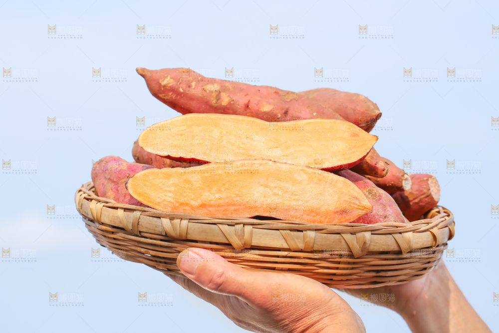 农民手里端着一盘红心红薯