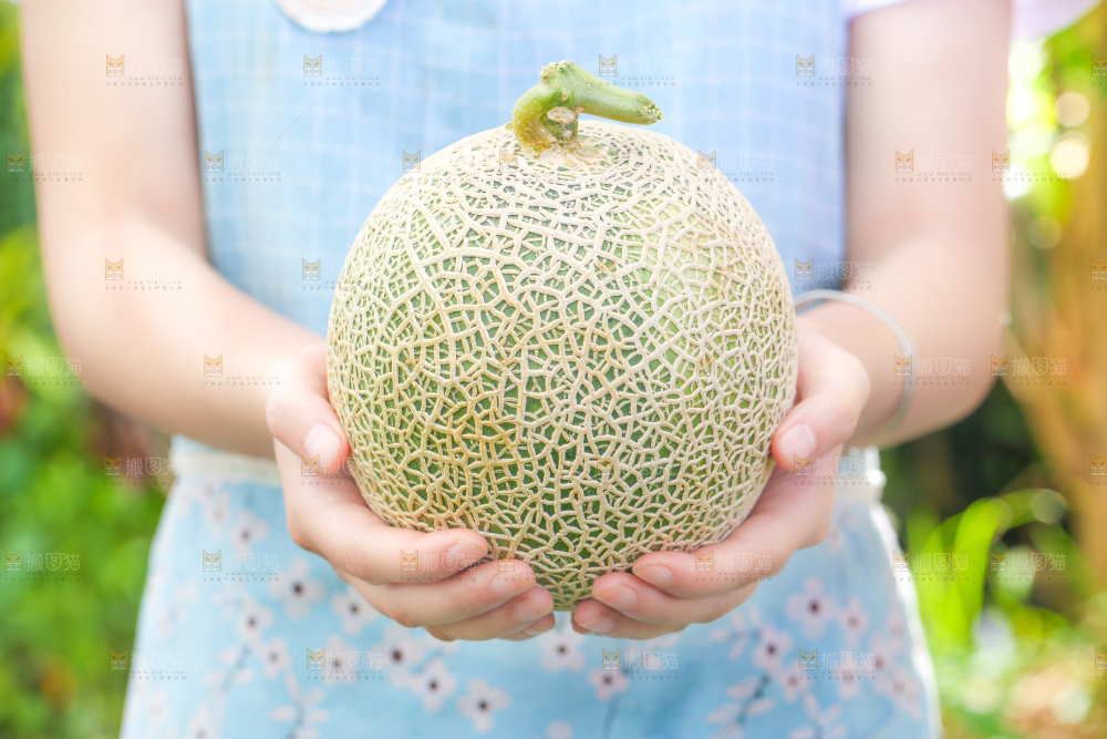 手拿玫珑瓜