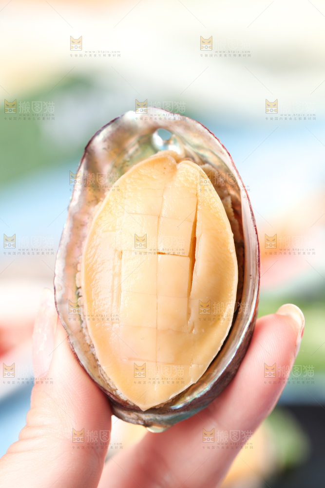 手拿鲍鱼
