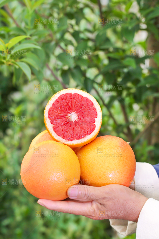 手里拿着南非红心西柚