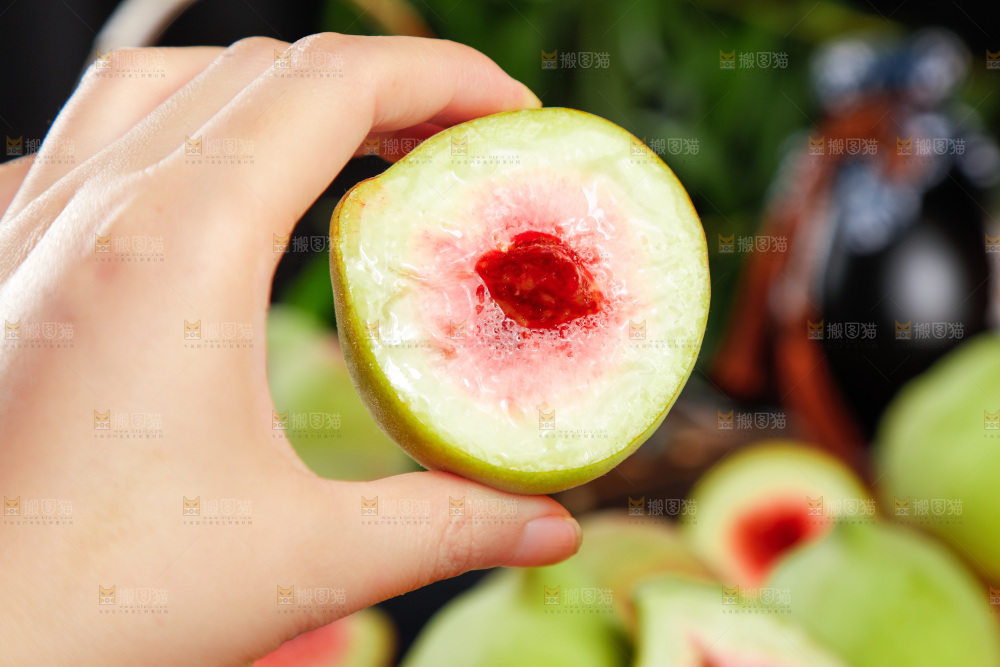 手拿鹰嘴桃