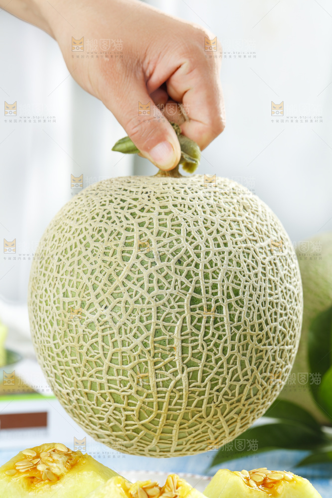手拿玫珑蜜瓜