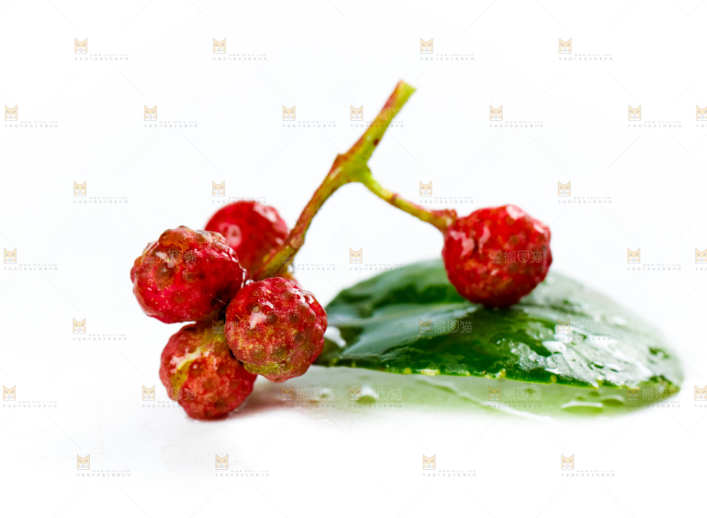 白底上的新鲜花椒