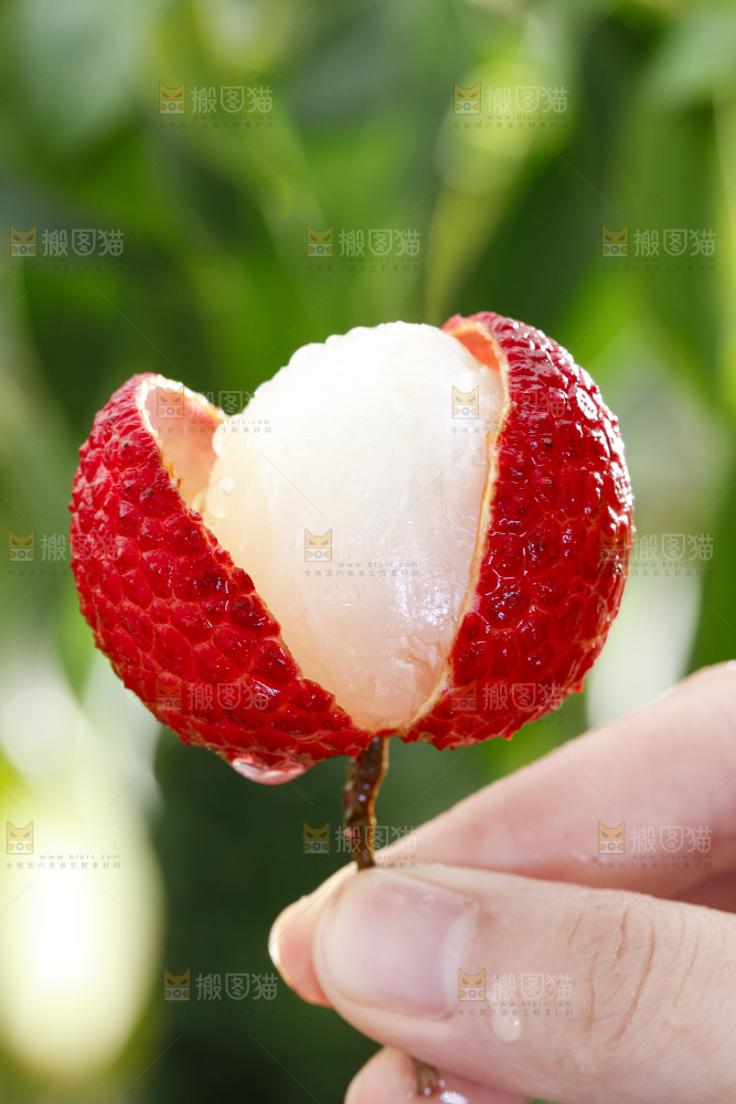 白糖罂荔枝