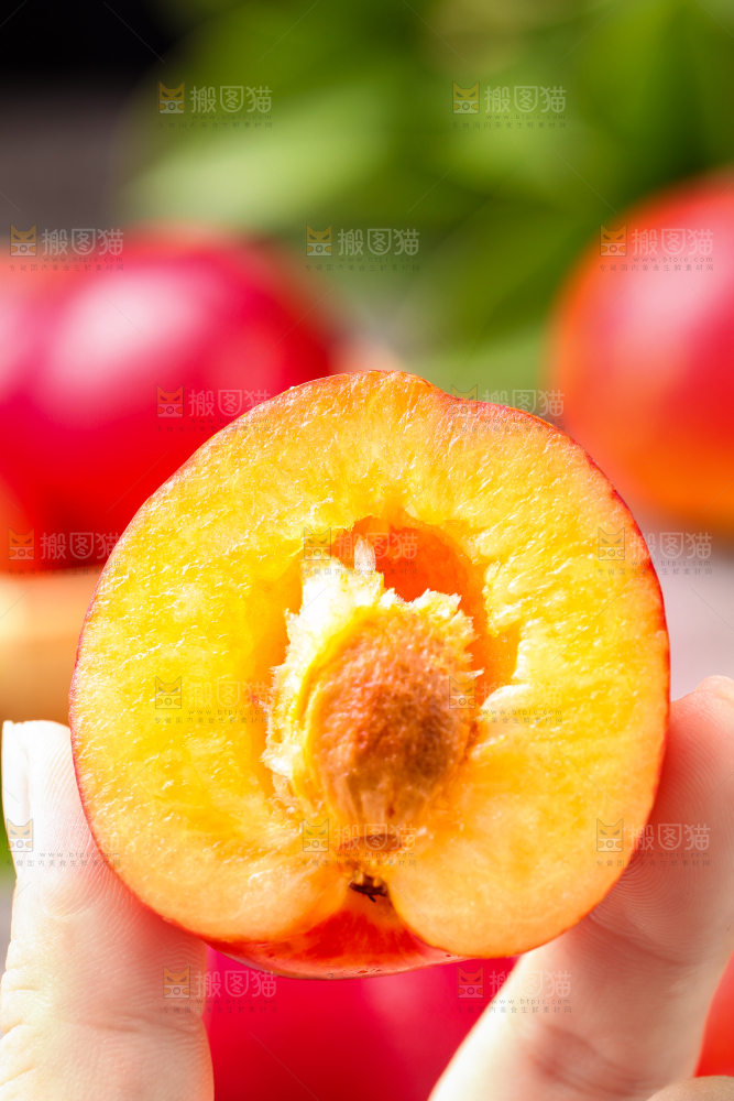 手拿掰开的珍珠李