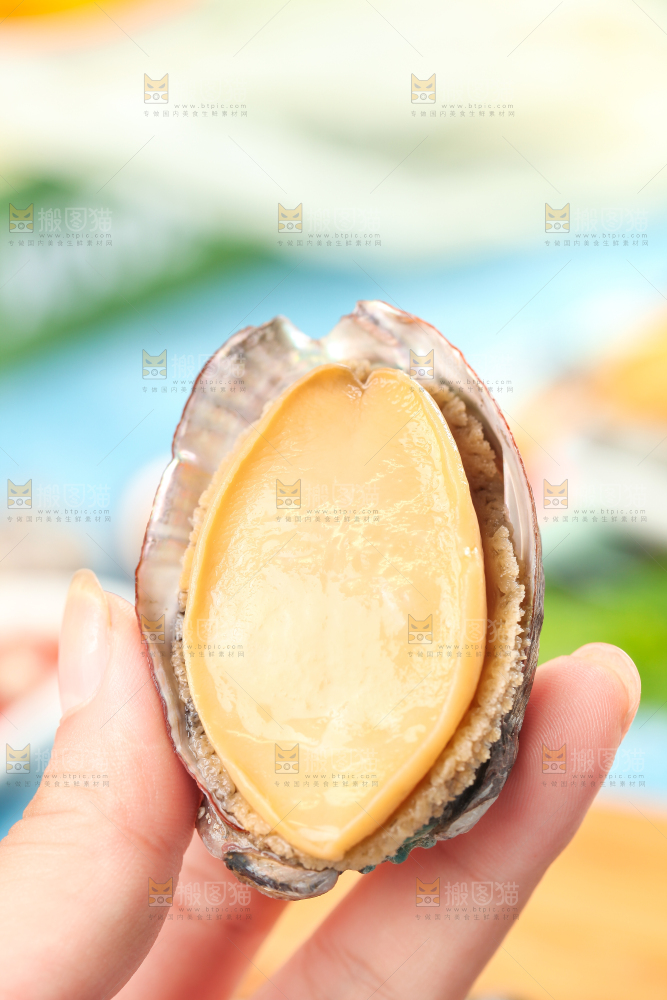 手拿鲍鱼