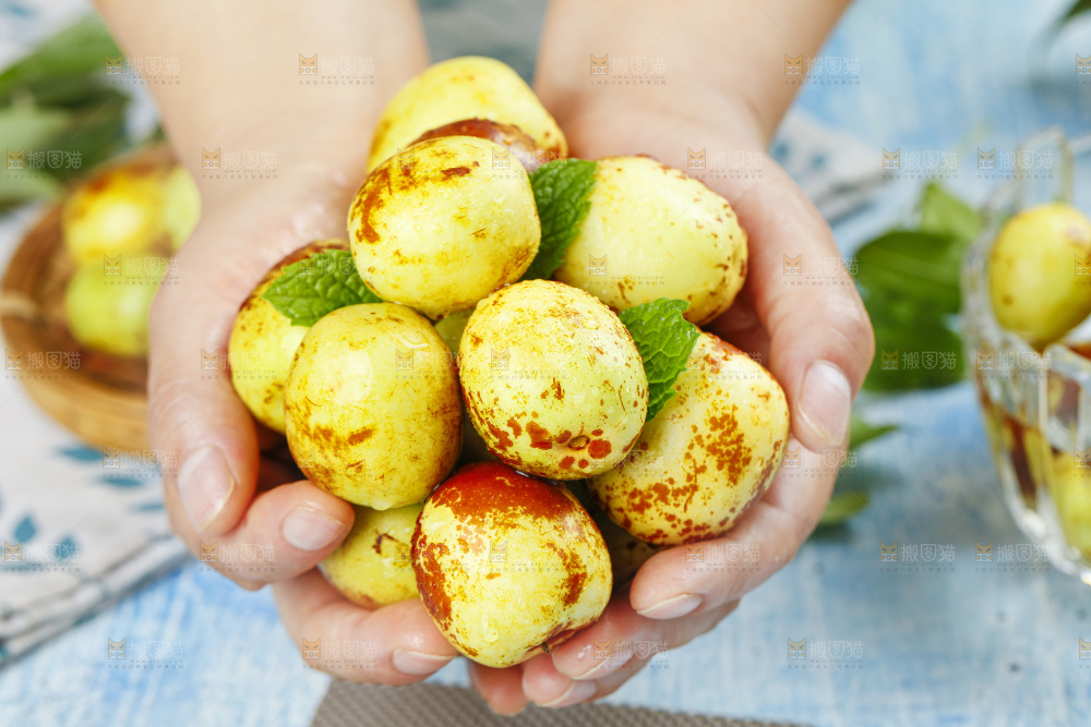 手里捧着大荔冬枣