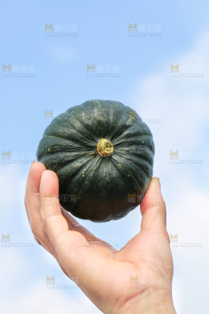 手里拿着板栗贝贝南瓜