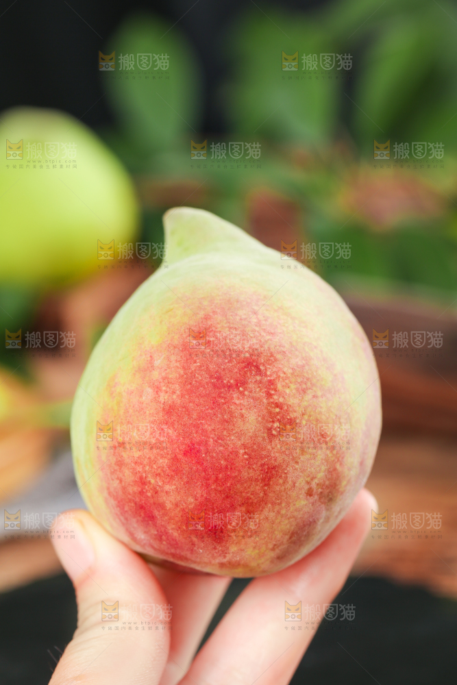 手拿云南鹰嘴水蜜桃