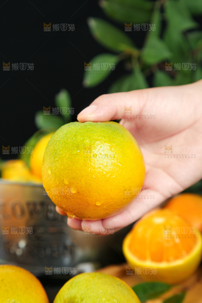 手拿秭归夏橙