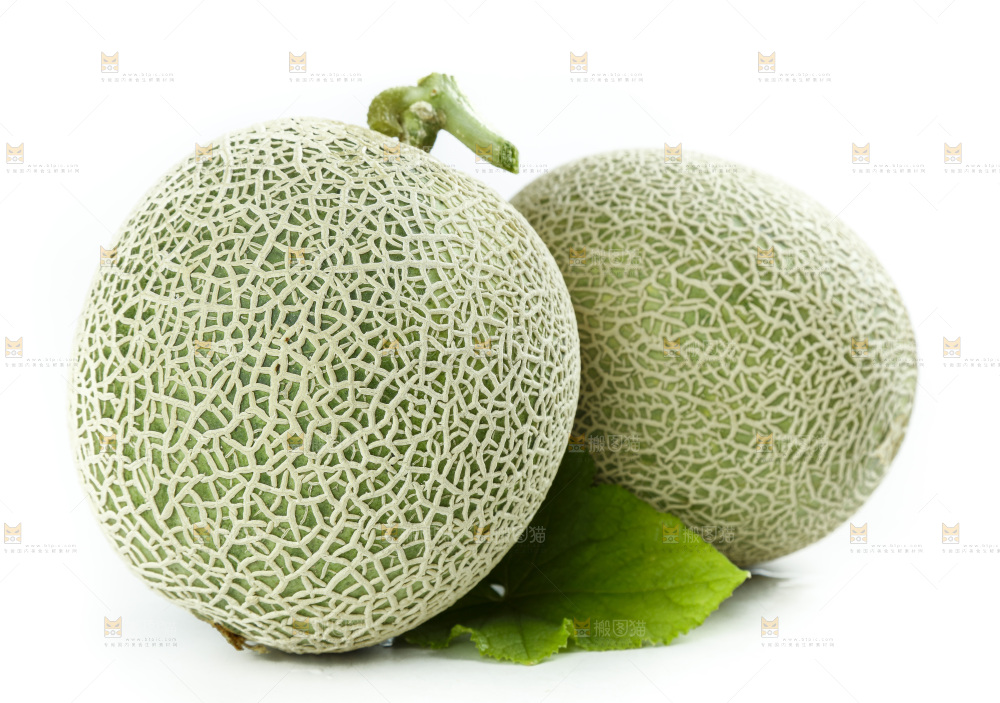 白底上的玫珑瓜