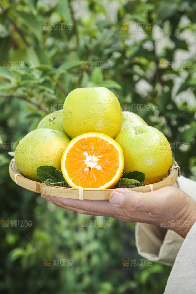 上手拿一筐夏橙