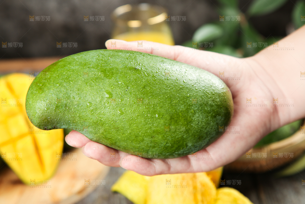手里拿着桂七芒