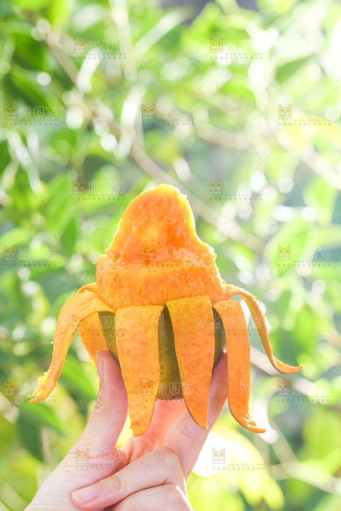 手拿剥皮的椰香芒