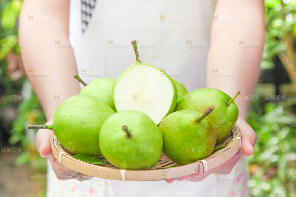 手端一盘陕西早酥梨