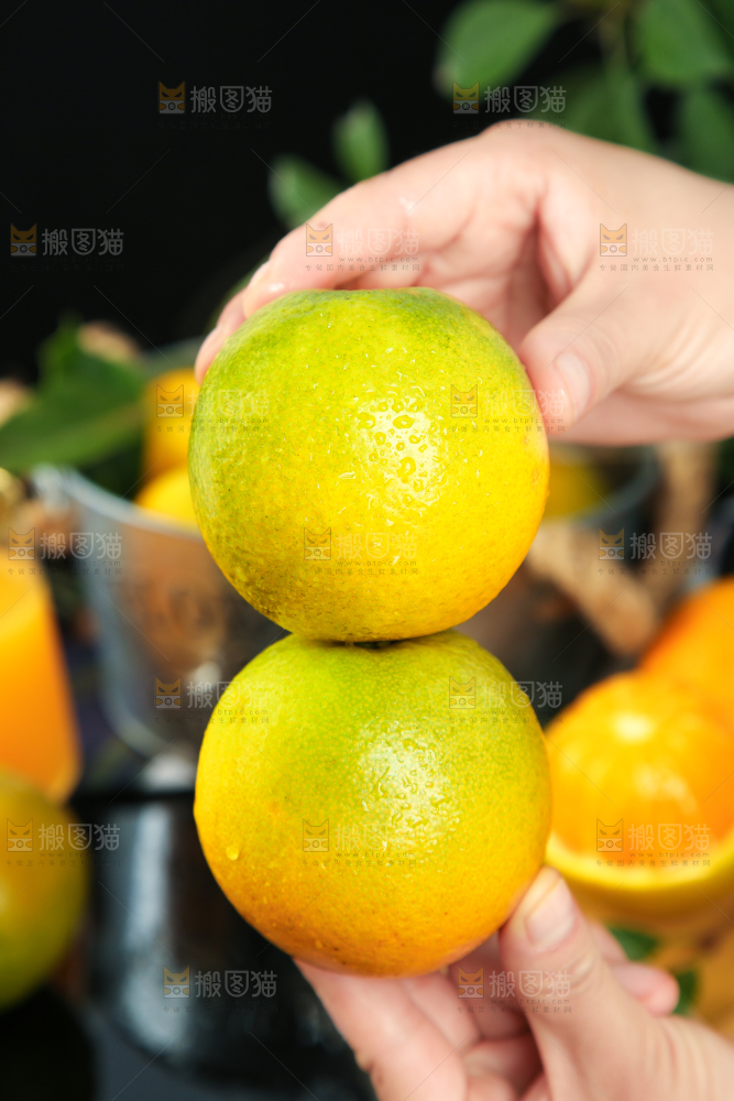 手拿秭归夏橙