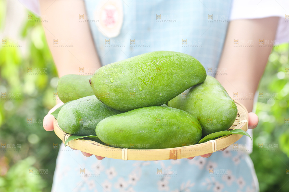 手端一盘桂七芒