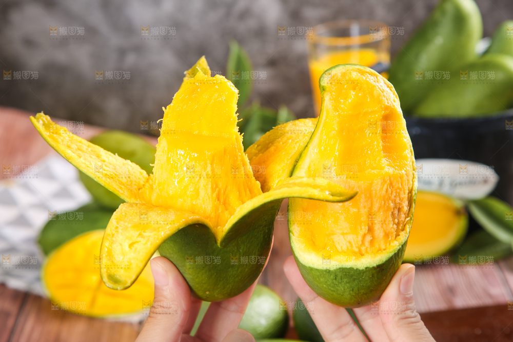 手拿剥皮的桂七芒