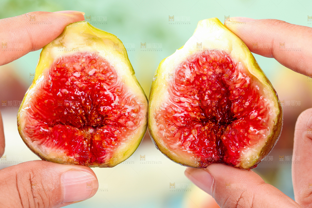 手拿掰开的无花果