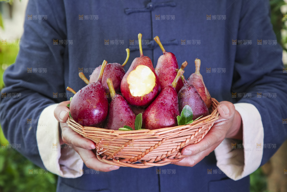 手拿一筐红啤梨