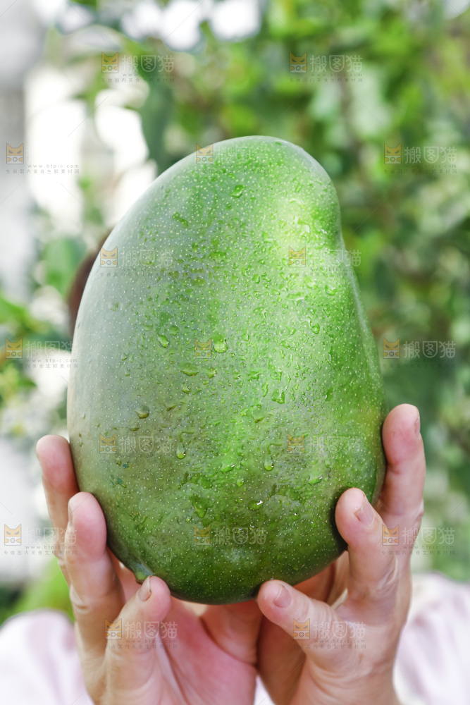 手拿着的凯特芒