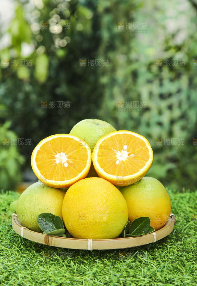 草地上放着一篮夏橙