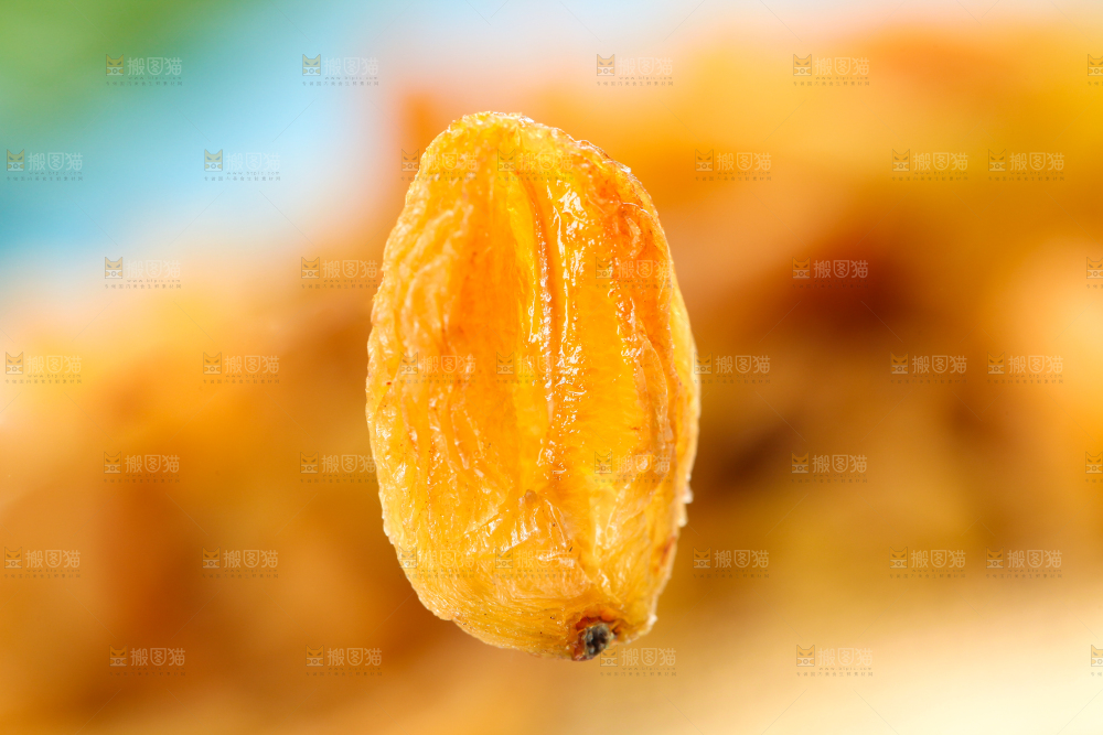 木板上的树上黄葡萄干