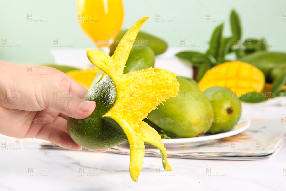 手拿剥皮的桂七芒