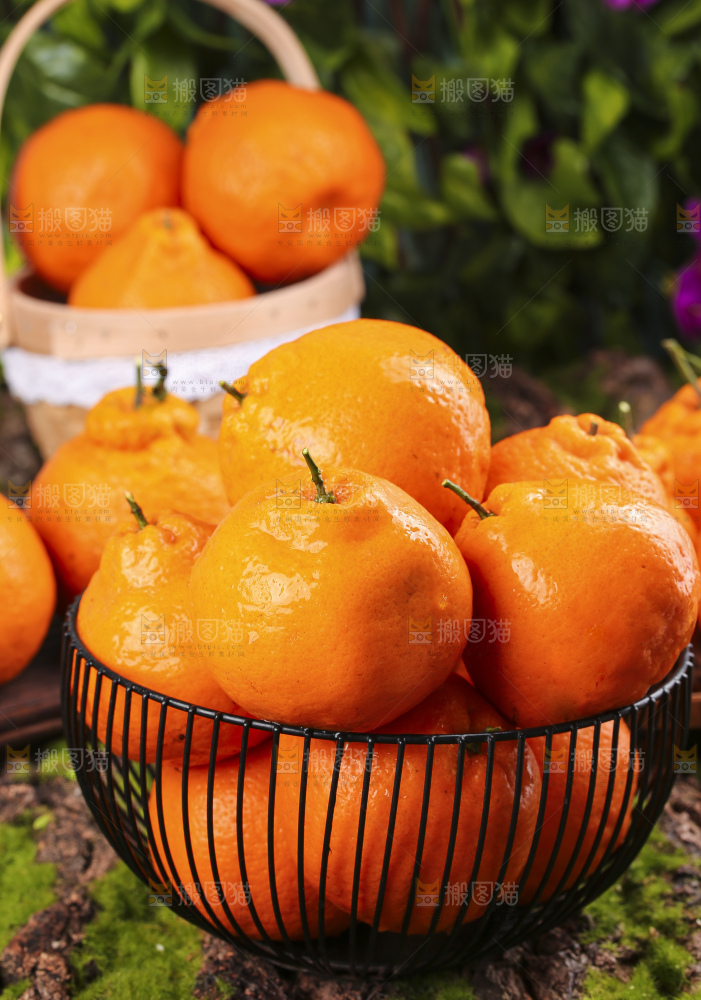 深底上放着四川春见