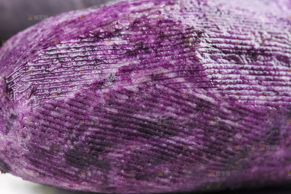 白底上的黑紫马铃薯
