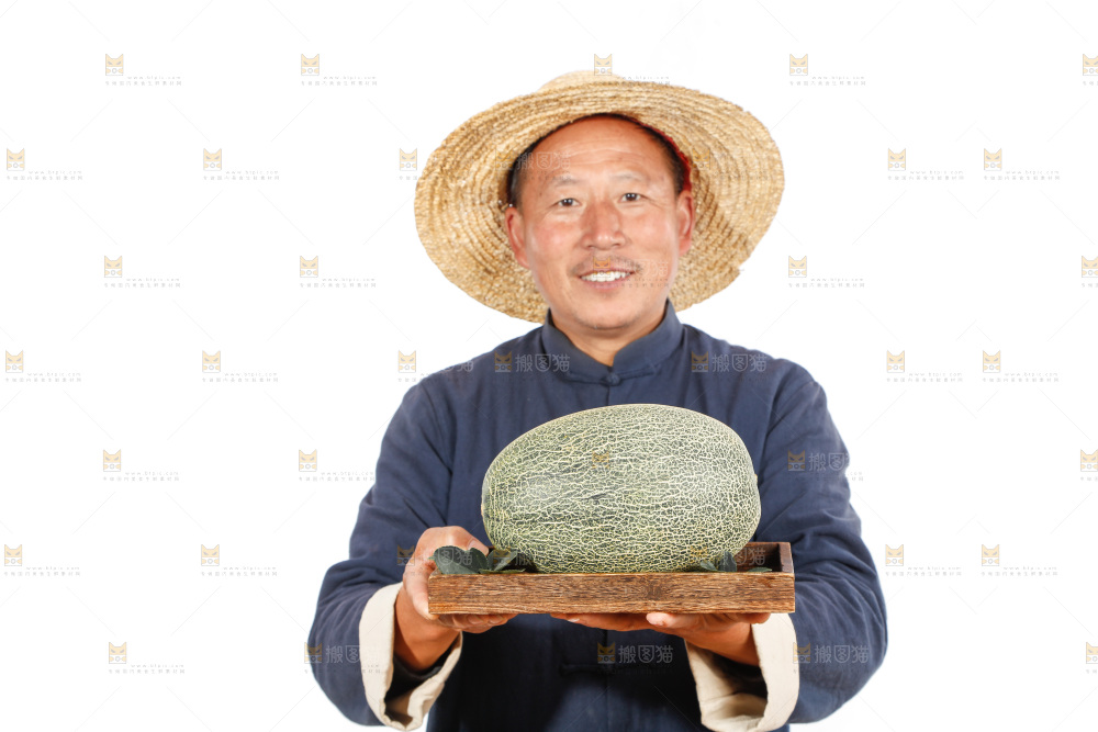 农民手里拿着哈蜜瓜