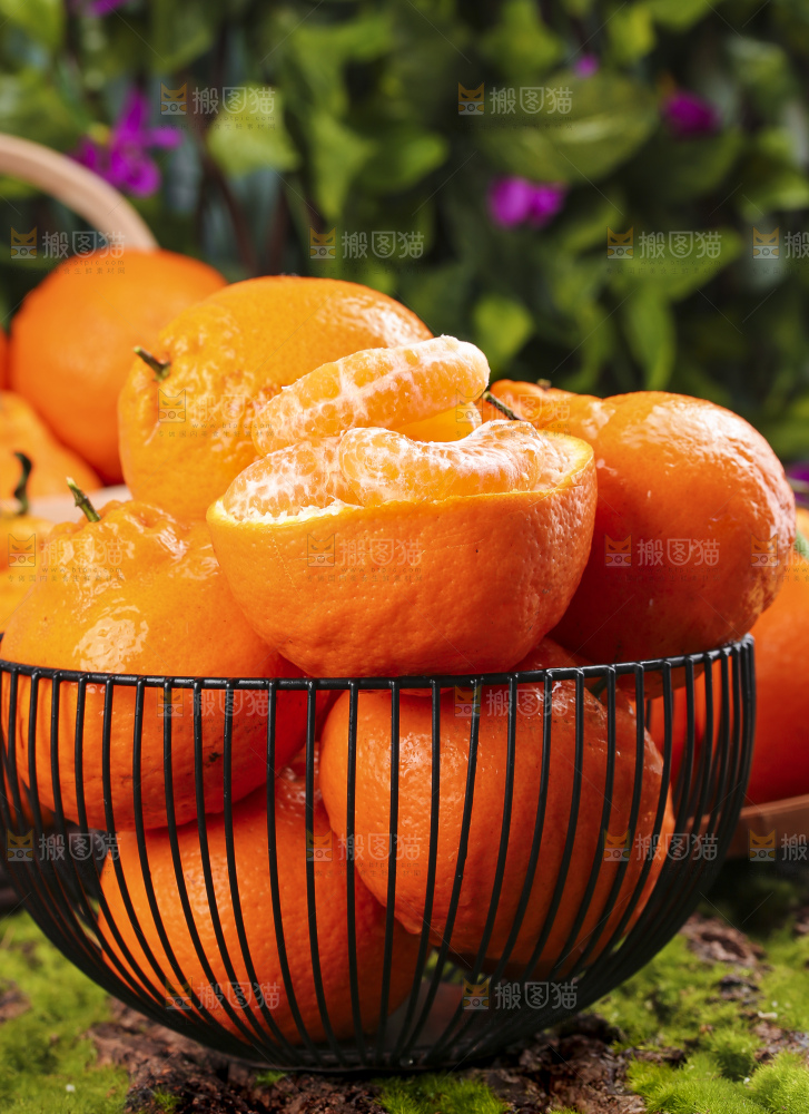 深底上放着四川春见