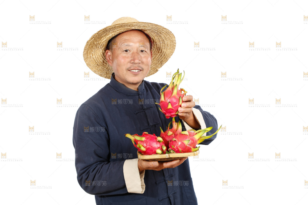 农民手里拿着火龙果