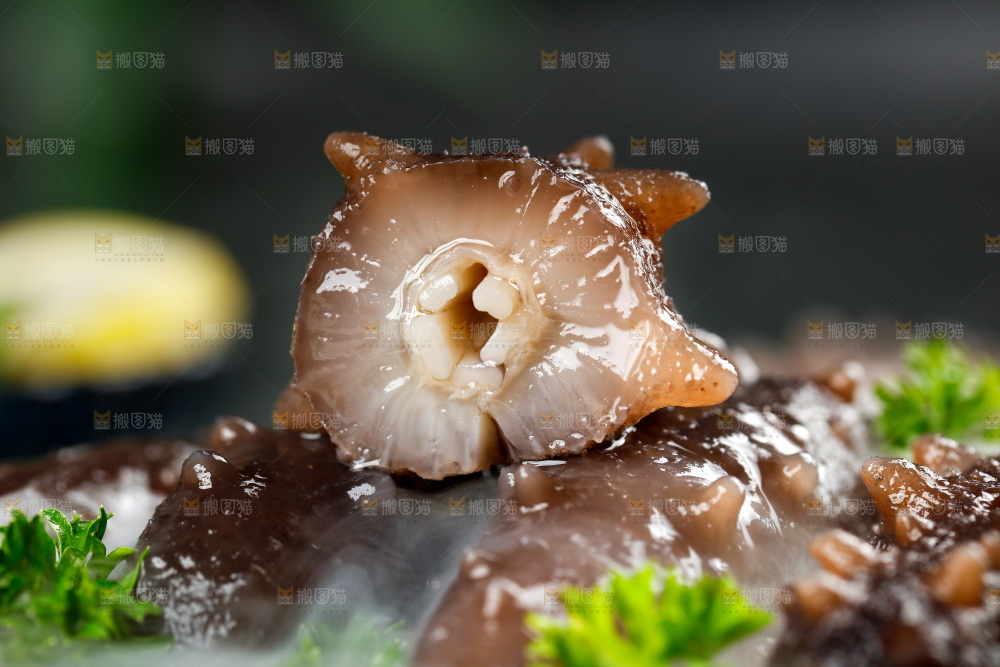 盘子里的冰镇海参